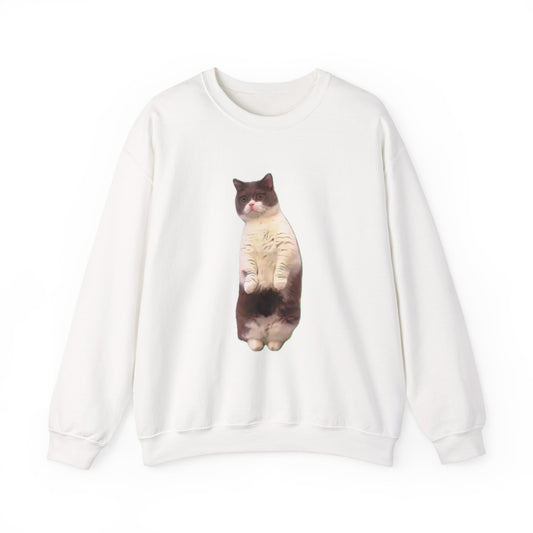 Because Every Day is Cat-urday