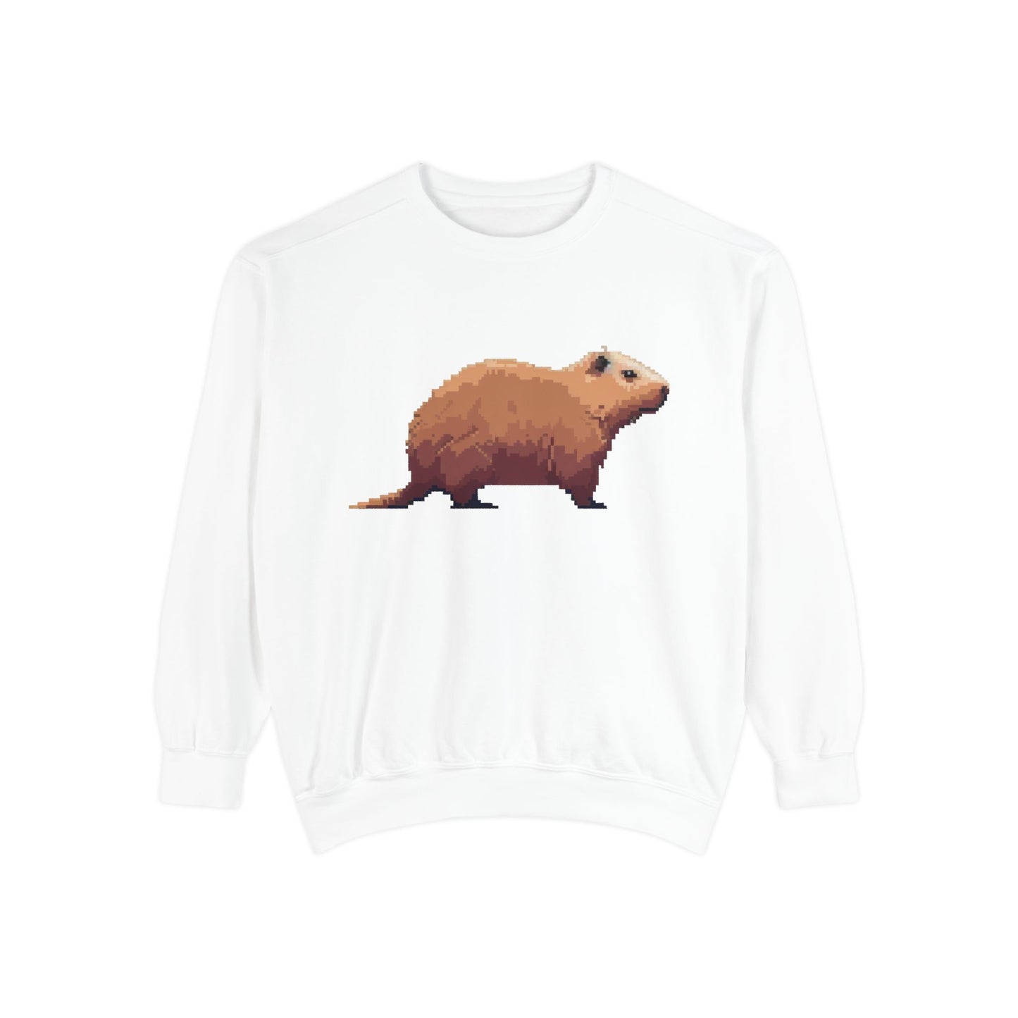 Capybara Sweatshirt