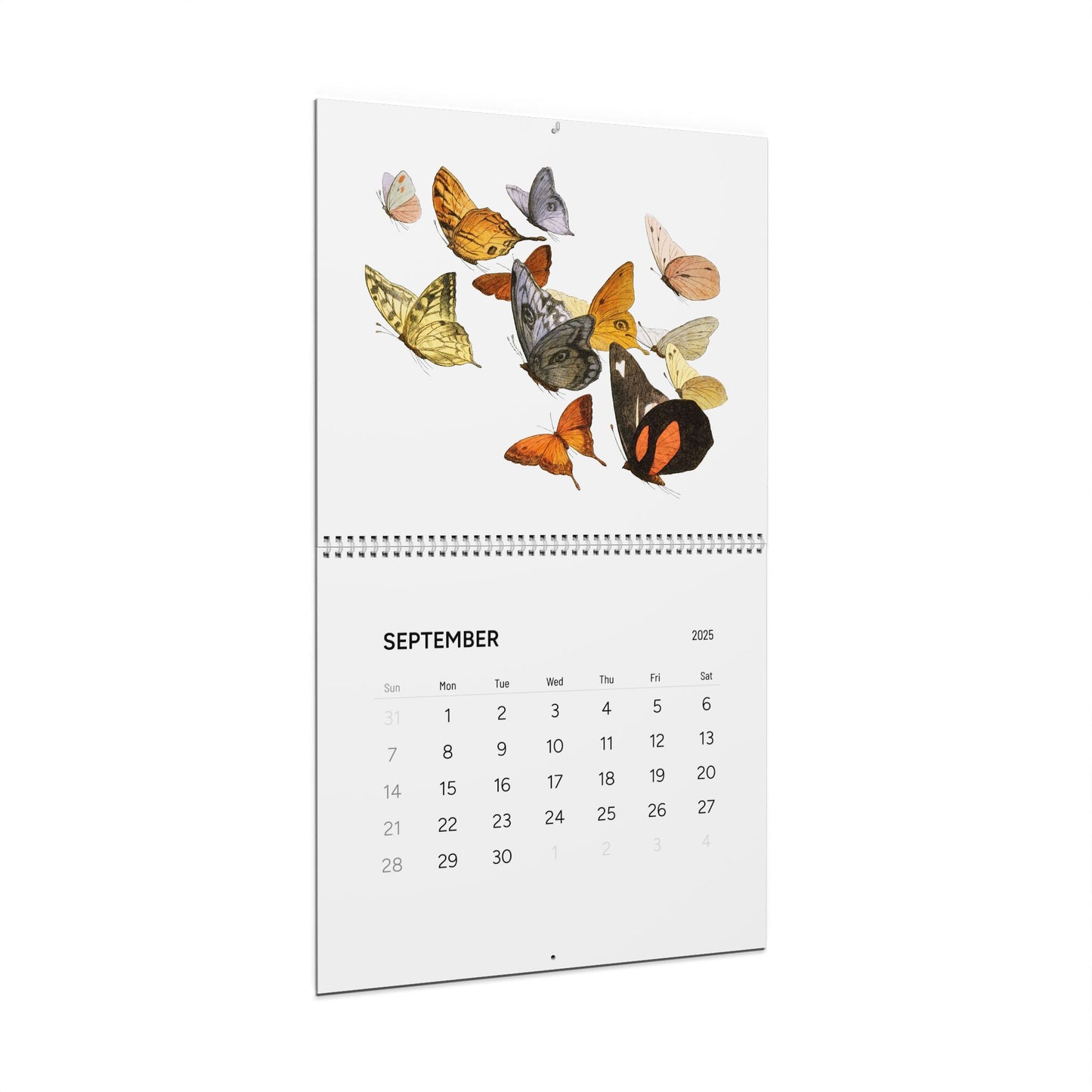 Butterfly Wall Calendar (2025)
