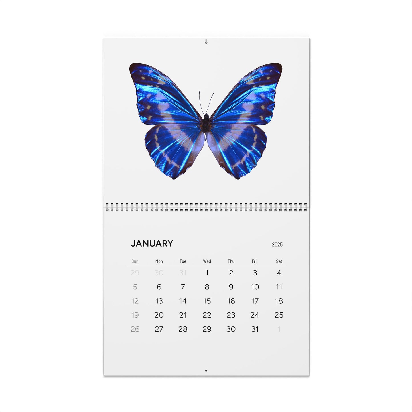 Butterfly Wall Calendar (2025)