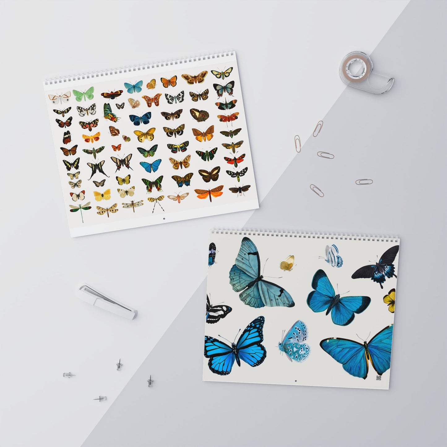 Butterfly Wall Calendar (2025)