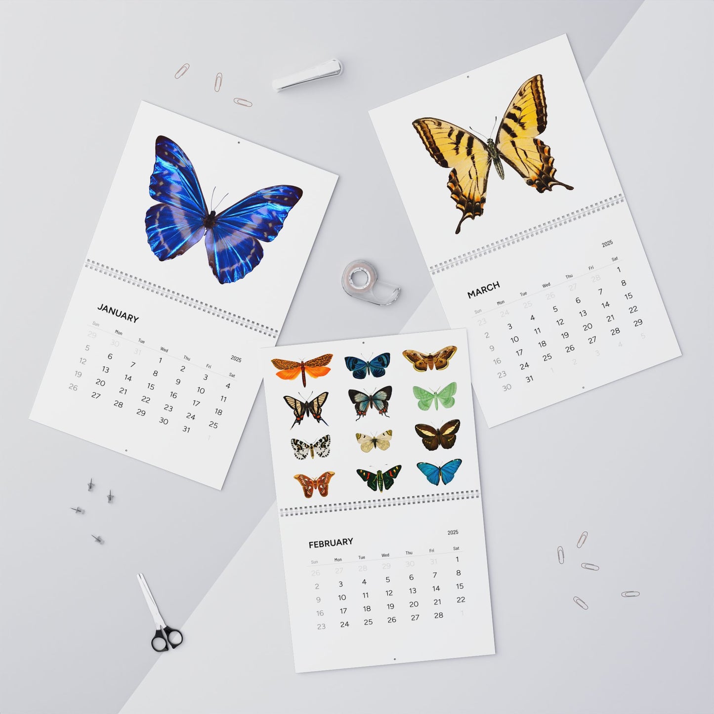 Butterfly Wall Calendar (2025)